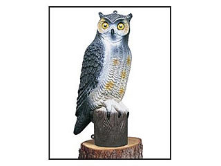 FLAMBEAU OWL 591