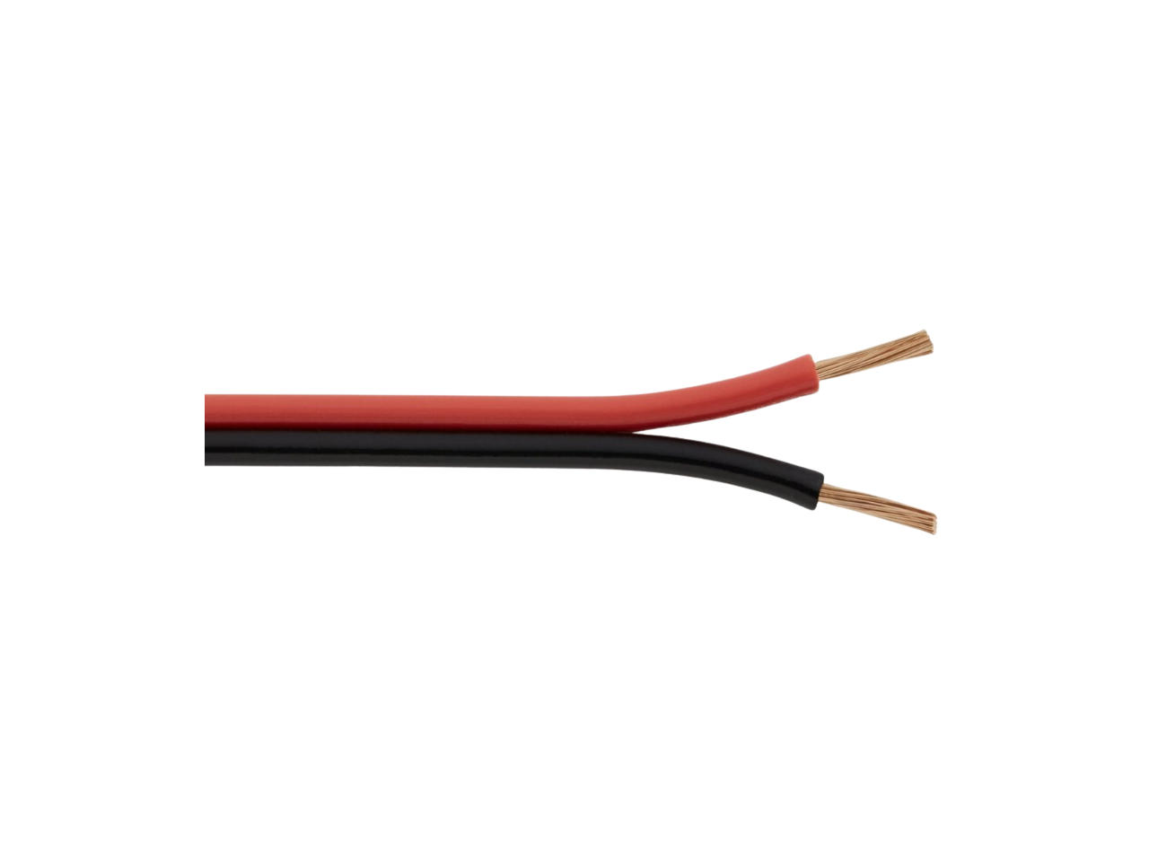 12 Volt Power BP10-25