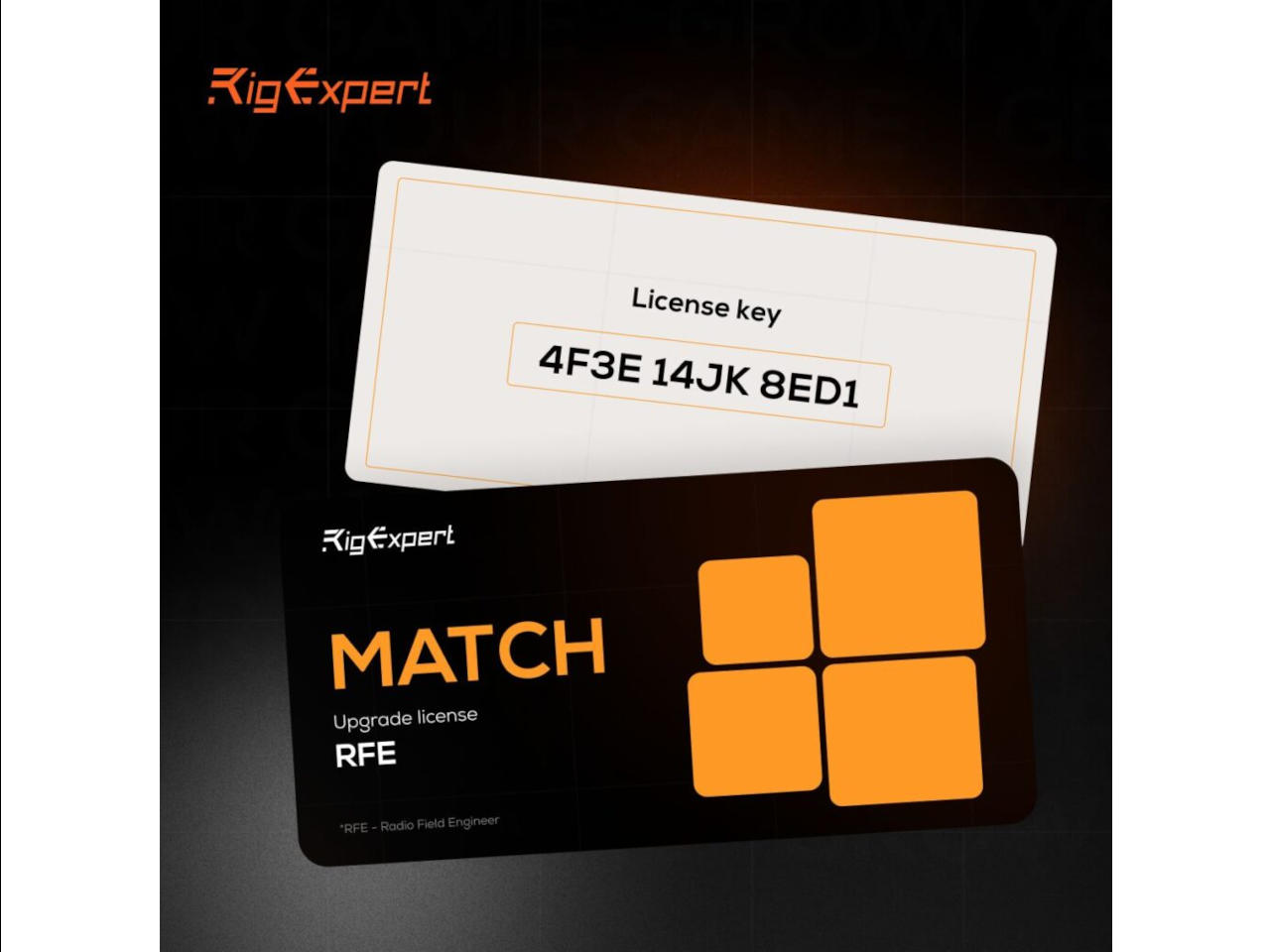RigExpert RFE Upgrade License